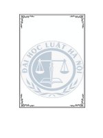 tiểu luận quan điểm của chủ nghĩa xã hội khoa học về dân tộc và giải quyết vấn đềdân tộc