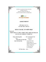 triển khai và phát triển thực hiện kế hoạchquảng bá website voidiung