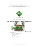 tiểu luận ý tưởng khởi nghiệp tên ý tưởng kinh doanh cây kiểng và bonsai mini