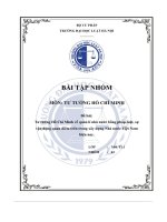 tiểu luận tư tưởng hồ chí minh về quản lí nhà nước bằng pháp luật sựvận dụng quan điểm trên trong xây dựng nhà nước việt namhiện nay