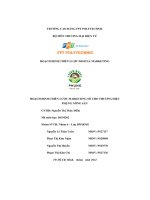 hoạch định chiến lược marketing số cho thương hiệuphụng nông sản