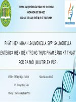 thiết bị và kỹ thuật cnsh