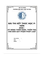 tiểu luận kỹ năng thẩm định thẩm travăn bản quy phạm pháp luật