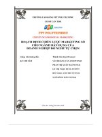 hoạch định chiến lược marketing sốcho ngành dân dụng của doanh nghiệp đồ nghề tự chọn