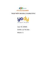 khái quát về doanh nghiệp yody