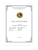 Thực Tập Chuyên Môn Đề Tài Web Bán Cây Cảnh Alazea.pdf