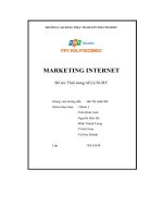 marketing internet đề tài thời trang aeluxury