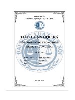 tiểu luận nếu người tiêu dùng mua hàng nông sản trên các sànthương mại điện tử này thì có thể gặp những vấn đề rủi ro pháp lý nào