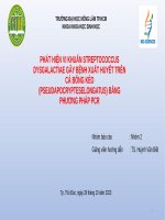 thiết bị và kỹ thuật cnsh nhóm 2