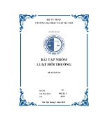 hãy phân tích bình luận các nghĩa vụ mà chủ dự án phải thực hiện khi dự án đi vào hoạt động theo quy định của pháp luật môi trường việt nam