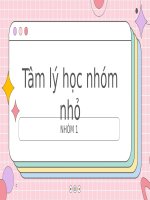 tâm lý học nhóm nhỏ