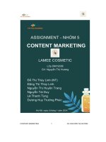 tiểu luận content marketing mỹ phẩm organic thương hiệu lamee cosmetic