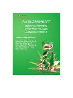 tiểu luận giới thiệu chung về doanh nghiệp nestlé