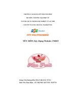 tiểu luận tên môn xây dựng website tmđt