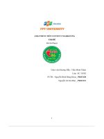 tiểu luận asignment môn content marketing chủ đề đồ đi phượt