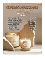 tiểu luận dự ánkinh doanh nến thơm tên thương hiệu tiệm nến thơm