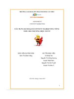 tiểu luận xây dựng kế hoạch content marketing tổngthể cho thương hiệu 2synt