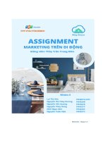 tiểu luận marketing trên di động thương hiệu mây decor