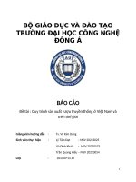 báo cáo đề tài quy trình sản xuất rượu truyền thống ở việt nam và trên thế giới