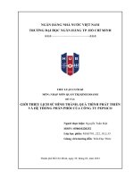 giới thiệu lịch sử hình thành quá trình phát triển và hệ thống phân phối của công ty pepsico