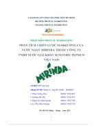 tiểu luận phân tích chiến lược marketing củanước ngọt mirinda thuộc công tytnhh nước giải khát sunstory pepsicoviệt nam