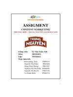 tiểu luận triển khai marketing nội dung cho cà phê trung nguyên