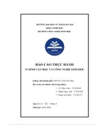 Báo Cáo Thực Hành Vi Sinh Vật Học Và Công Nghệ Sinh Học.pdf