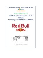 tiểu luận nghiên cứu hành vi mua sản phẩmredbullvà xây dựng chiến lược marketing