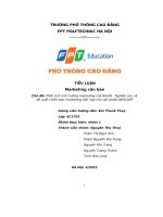 tiểu luận phân tích môi trường marketing của nestlé nghiên cứu vàđề xuất chiến lược marketing hỗn hợp cho sản phẩm nescafé