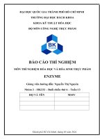 báo cáo thí nghiệm môn thí nghiệm hóa học và hóa sinh thực phẩm enzyme