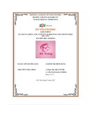 tiểu luận assignment xây dựng chiến lược content marketing cho thương hiệubé cưng