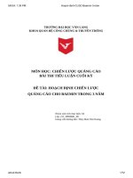 hoạch định chiến lược cquảng cáo cho baemin trong 3 năm