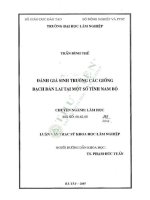 Luận văn thạc sĩ khoa học lâm nghiệp: Đánh giá sinh trưởng các giống bạch đàn lai tại một số tỉnh Nam Bộ