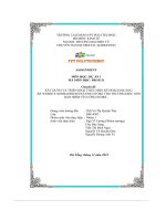 tiểu luận xây dựng và triển khai thực hiện kế hoạch quảng bá website nonbaohiemvicuong store cho thương hiệu nónbảo hiểm vĩ cường store