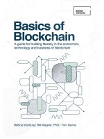 The basics of blockchain : A guide for building literacy in the economics, technology and business of blockchain