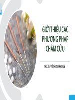 bài giảng giới thiệu các phương pháp châm cứu