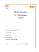 higher nationals in computing unit 14 business intelligence assignment 2