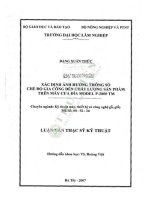 Luận văn thạc sĩ kĩ thuật: Xác định ảnh hưởng thông số chế độ gia công đến chất lượng sản phẩm trên máy cưa đĩa Model P-2800 TM