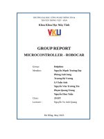 group report microcontroller robocar