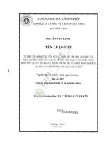 Luận văn thạc sĩ: Nghiên cứu ảnh hưởng của một số nhân tố đến tính đa dạng của thực vật tầng thấp làm cơ sở đề xuất giải pháp phát triển chúng nhằm bảo vệ đất dưới rừng trồng Thông mã vĩ (Pinus Masoniana) ở khu thực nghiệm trường Đại học Lâm nghiệp