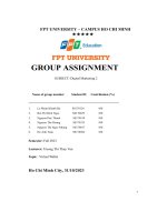 group assignment subject digital marketing 2