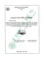 Luận văn tốt nghiệp: Nghiên cứu quá trình sinh trưởng và hiệu suất quang hợp của loài Trám đen (Canari nigrum Engler) và loài Thông caribe (Pinus caribea Morelet) 4 tháng tuổi dưới ảnh hưởng của các công thức N, P, K khác nhau