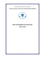 Báo cáo nghiên cứu khoa học cấp cơ sở: Nhận thức rủi ro của người tiêu dùng về sản phẩm rau an toàn tại các nước Đông Dương