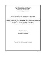 Đề tài nghiên cứu khoa học: Chính sách cổ tức, chi phí huy động vốn ngân hàng và kỷ luật thị trường
