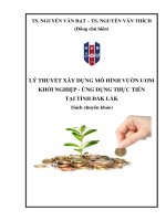 Sách chuyên khảo: Lý thuyết xây dựng mô hình vườn ươm khởi nghiệp ứng dụng thực tiễn tại tỉnh Đắk Lắk
