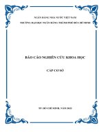 Báo cáo nghiên cứu khoa học cấp cơ sở: Tác động của nợ chính phủ đến cấu trúc vốn của các doanh nghiệp niêm yết trên thị trường chứng khoán Việt Nam
