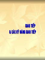 Giao tiếp và các kỹ năng giao tiếp