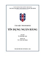 Tài liệu tham khảo: Tín dụng ngân hàng