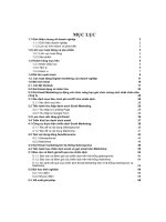 tiểu luận tổng quan doanh nghiệp công ty tnhh dmc