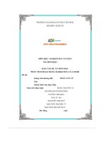 tiểu luận báo cáo dự án môn họcphân tích hoạt động marketing của oishi